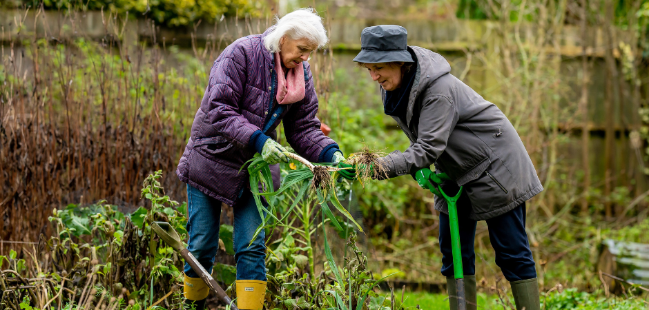 Gardening tips for the elderly