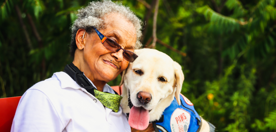 Top 10 dog breeds for seniors